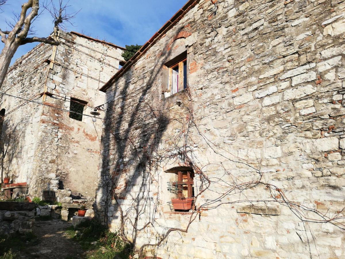 Agriturismo Casamatta Azienda Agricola Calenzano Eksteriør billede