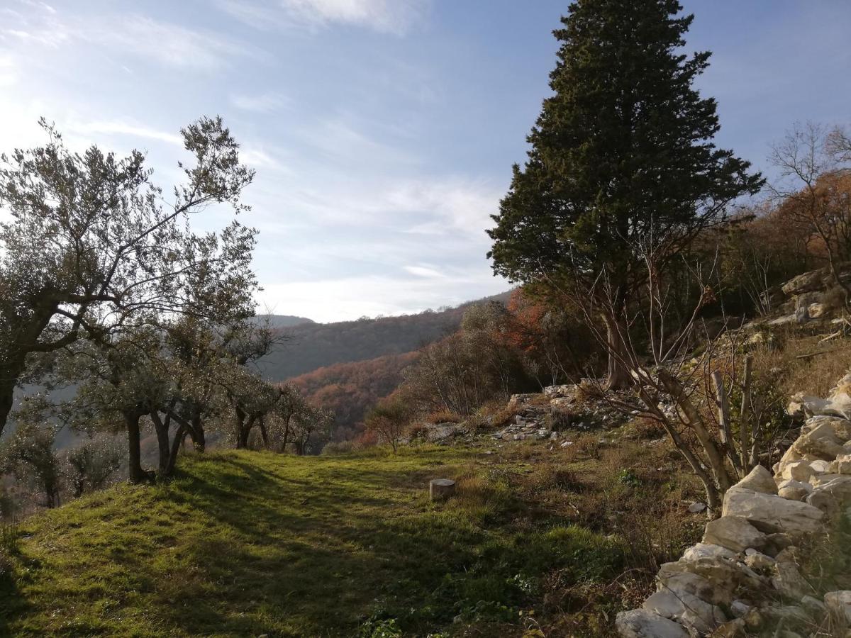 Agriturismo Casamatta Azienda Agricola Calenzano Eksteriør billede