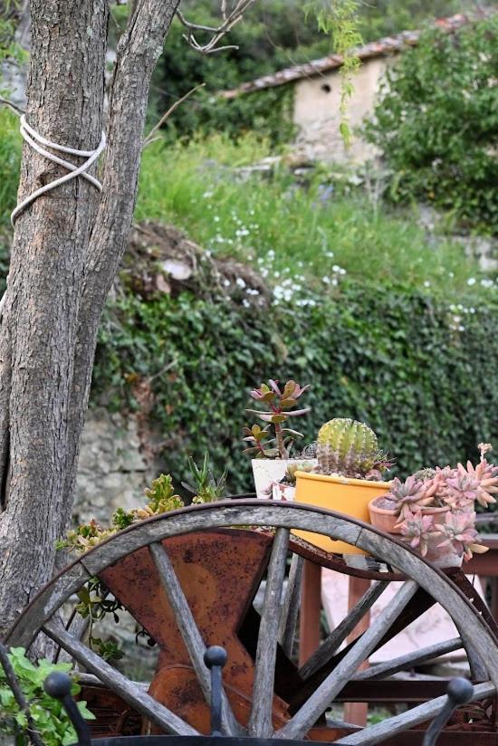Agriturismo Casamatta Azienda Agricola Calenzano Eksteriør billede