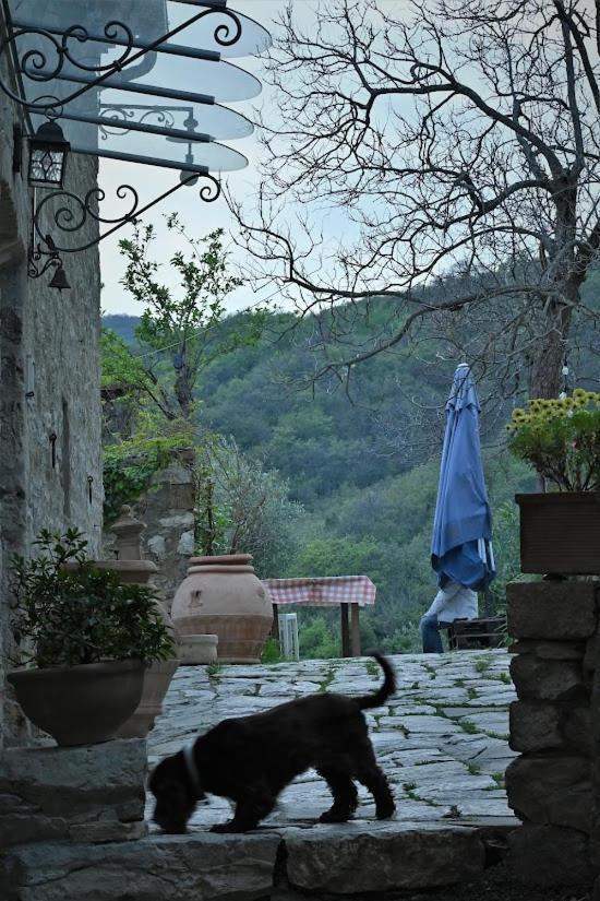 Agriturismo Casamatta Azienda Agricola Calenzano Eksteriør billede